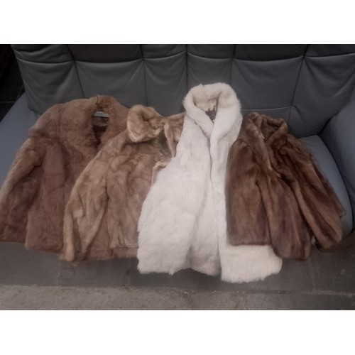 104 - 4 boxes of various furs and related accessories.