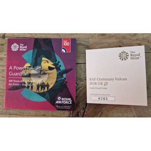 313 - The Royal Mint, A Powerful Guardian RAF Centenary Vulcan 2018 UK £2 Gold Proof Coin, 22ct gold, 15.9... 