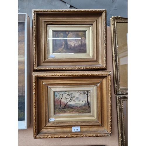 800 - A pair of 19th century oils, landscape scenes, unsigned, gilt frames, each 37cm x 31cm (overall).