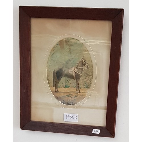 856D - German early 20th century school, watercolour of a horse, unsigned, framed and glazed, 15cm x 30.5cm... 