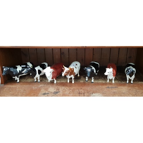 505 - Seven Beswick cows