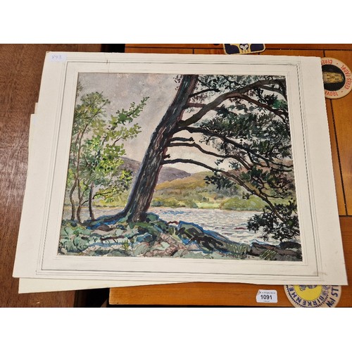 893 - Nineteen original works, mostly watercolours, 19th and 20th century, various artists, mostly window ... 