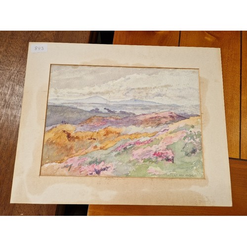 893 - Nineteen original works, mostly watercolours, 19th and 20th century, various artists, mostly window ... 