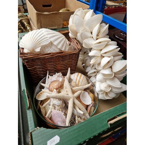 150 - A box of sea shells