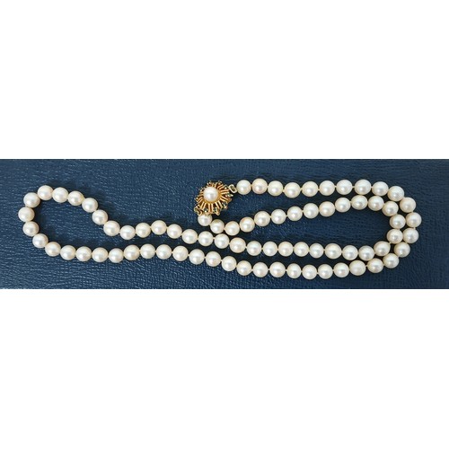 171 - A single strand of cultured pearls, yellow metal clasp set with sapphires and a single pearl, the un... 