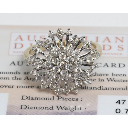 639 - A 9ct gold Argyle diamond cluster ring, the cluster measuring approximately 17mm in diameter, gross ... 