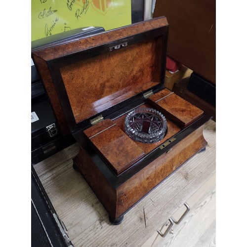 215 - A mid 19th century burr yew wood and rose wood tea caddy of waisted sarcophagus form, with cut glass... 