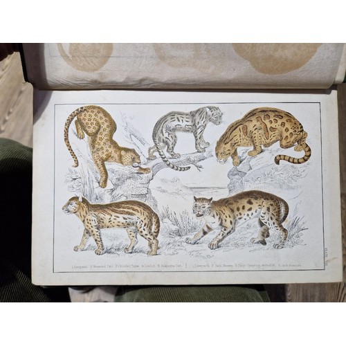 218 - Oliver Goldsmith - A History of The Earth and Animal Nature, colour plates, 6 vols, coloured plates,... 