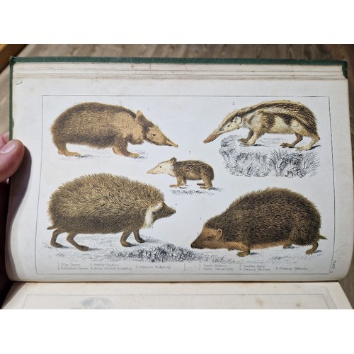 218 - Oliver Goldsmith - A History of The Earth and Animal Nature, colour plates, 6 vols, coloured plates,... 