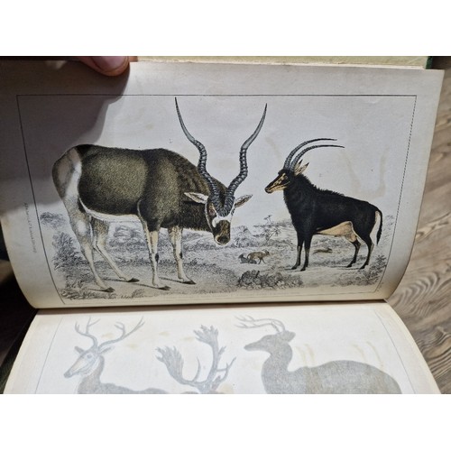 218 - Oliver Goldsmith - A History of The Earth and Animal Nature, colour plates, 6 vols, coloured plates,... 