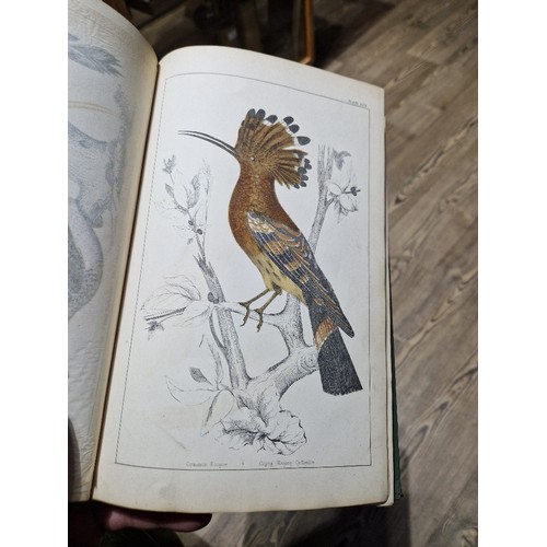 218 - Oliver Goldsmith - A History of The Earth and Animal Nature, colour plates, 6 vols, coloured plates,... 