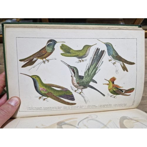 218 - Oliver Goldsmith - A History of The Earth and Animal Nature, colour plates, 6 vols, coloured plates,... 