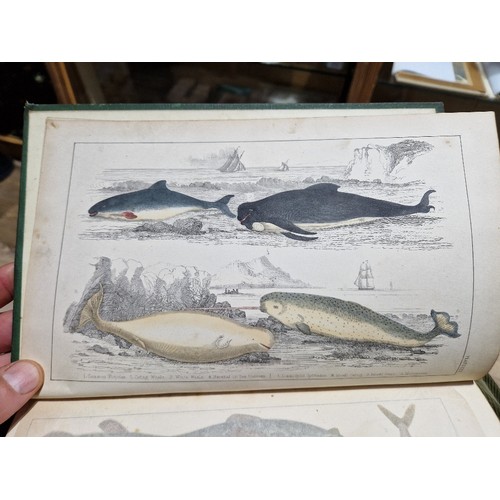 218 - Oliver Goldsmith - A History of The Earth and Animal Nature, colour plates, 6 vols, coloured plates,... 