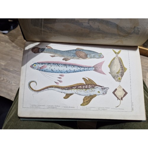 218 - Oliver Goldsmith - A History of The Earth and Animal Nature, colour plates, 6 vols, coloured plates,... 