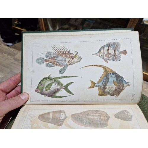 218 - Oliver Goldsmith - A History of The Earth and Animal Nature, colour plates, 6 vols, coloured plates,... 