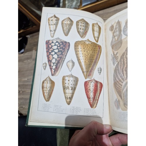 218 - Oliver Goldsmith - A History of The Earth and Animal Nature, colour plates, 6 vols, coloured plates,... 