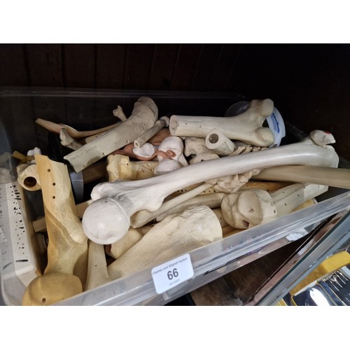 66 - A box of assorted plastic model bones & joints.