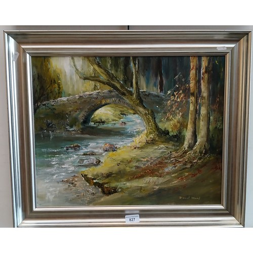 827 - David Wood (British, 20th century), 'Autumn Sunlight', oil on canvas, 50cm x 40cm, signed to lower r... 