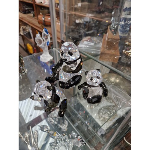 736 - Swarovski Panda and 2 cubs - height 10cm and 6 cm.  Note - 1 cub has had arm reattached and there is... 