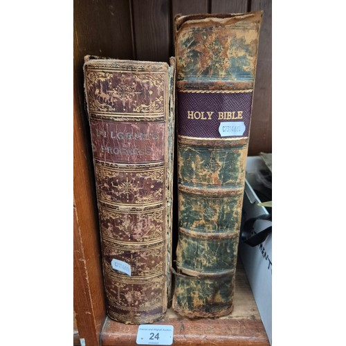 Lot 24        