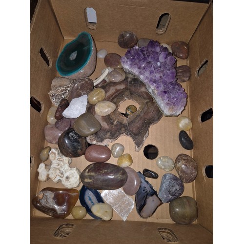Lot 56        