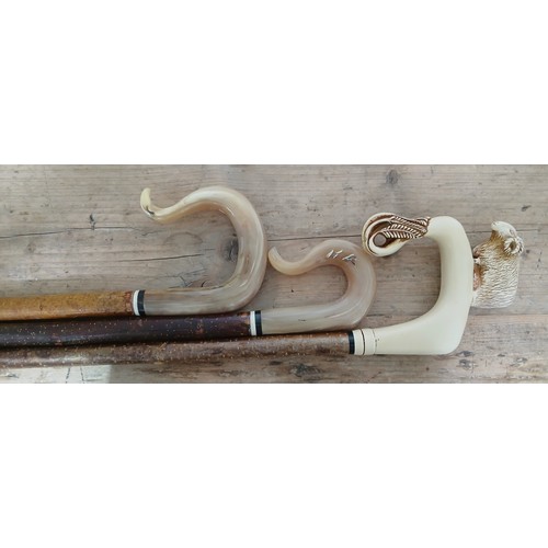 A group of three shepherd's crooks.