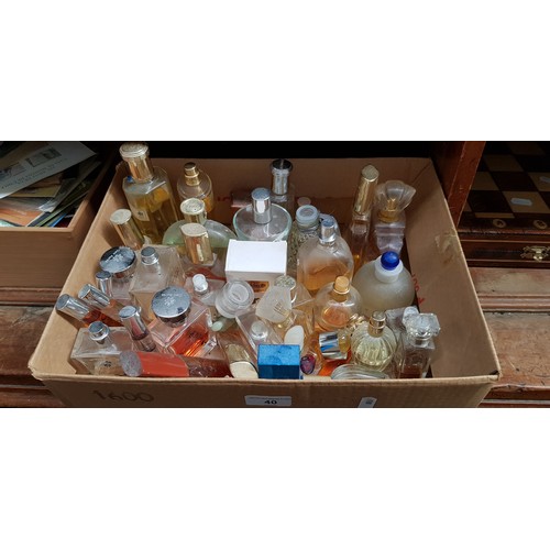 Lot 40        