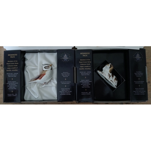 Lot 22        