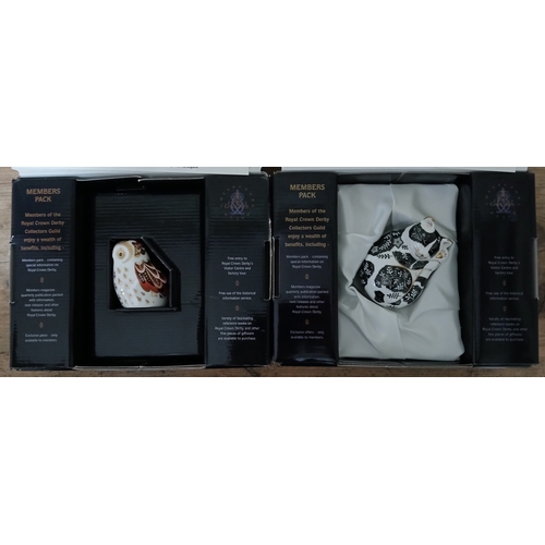 Lot 23        