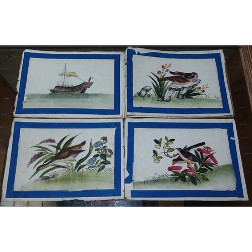 561 - A group of four Chinese pith paintings, 19th century, 17cm x 20cm each.