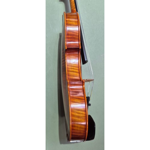 421 - A Chinese Stentor Arcadia student violin, together with bow signed 'Arnold Voigt' and hard case.