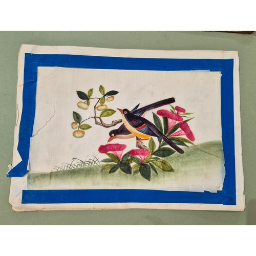 561 - A group of four Chinese pith paintings, 19th century, 17cm x 20cm each.