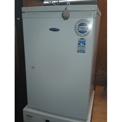 258 - An Ice King fridge