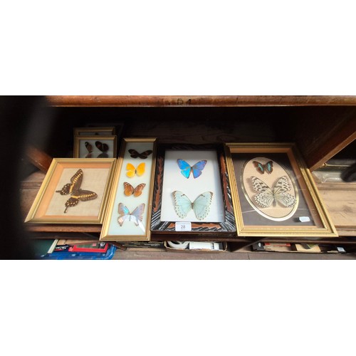 Lot 28        