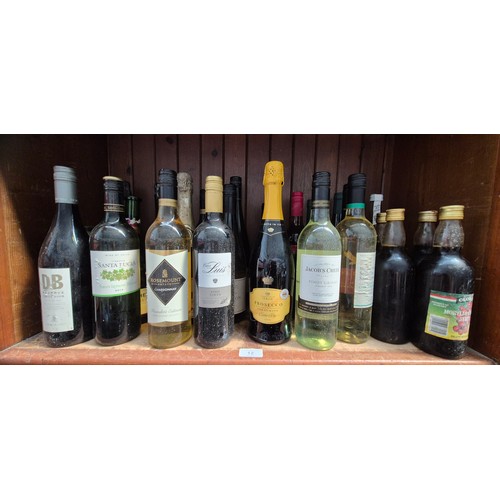Lot 12        