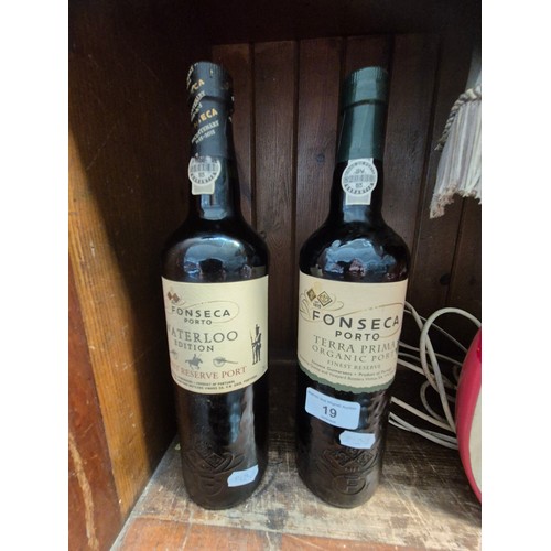 Lot 19        