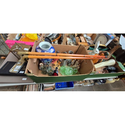 Lot 55        