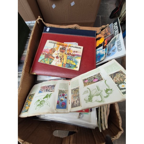 Lot 50        