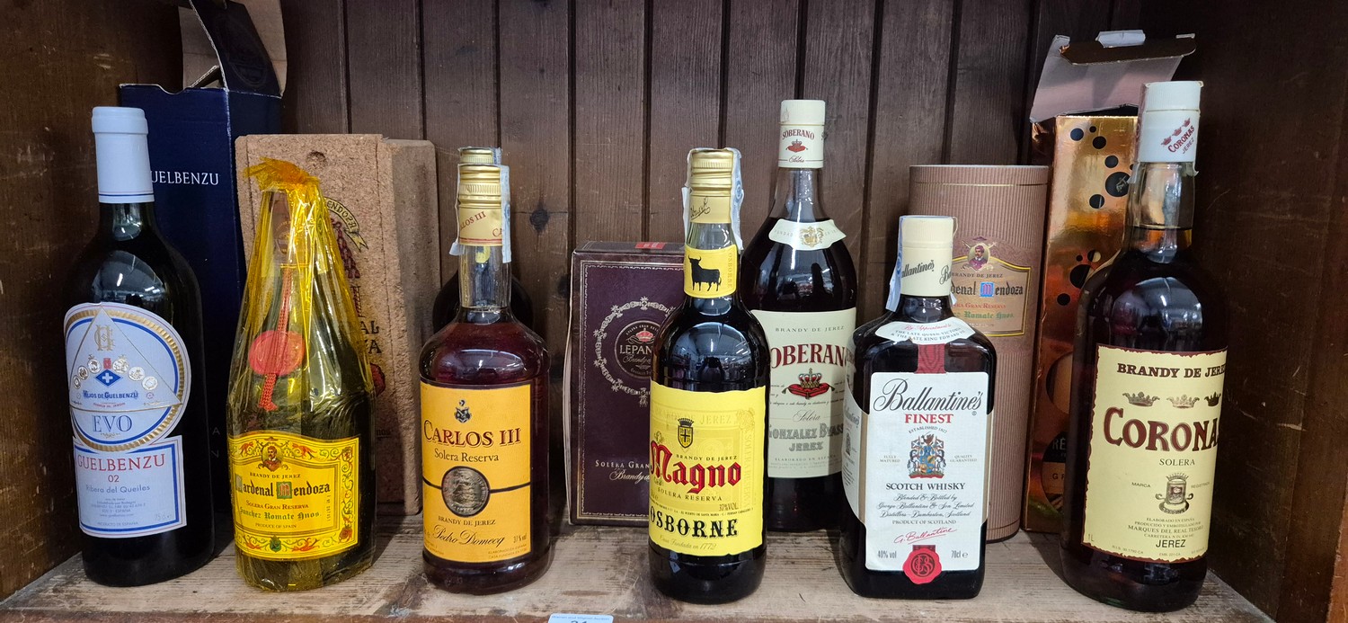 A collection of alcohol (13 bottles) to include Remy Martin Grand Cru ...