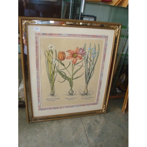 107 - Large Flower Print with Ornate Frame (74 x 65cm)