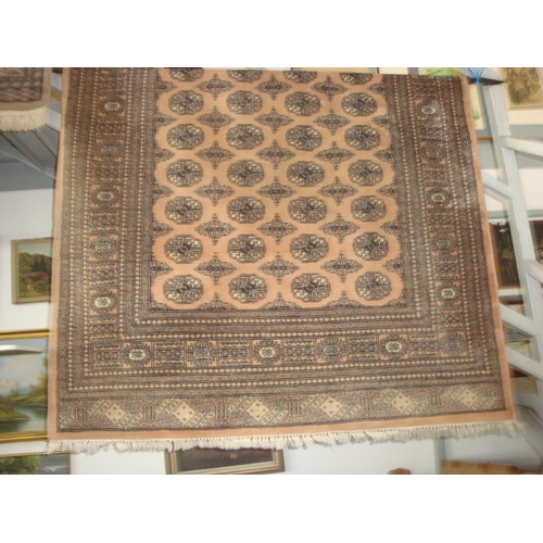 287 - Hand Made Pakistan Bokhara Carpet (250x 155cm)