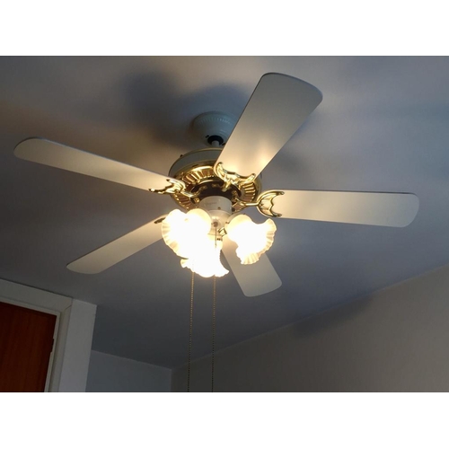 653 - Ceiling Fan with Lighting (3 Glass Shaded Lamps)