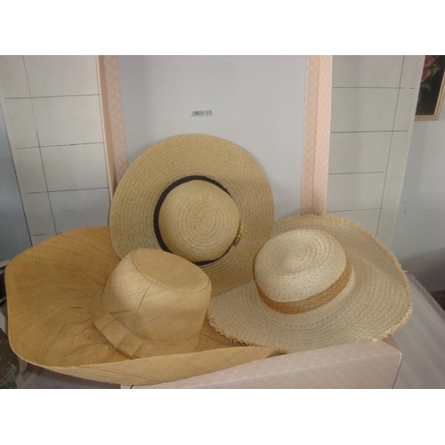 671 - Box of 3 Hats (New)