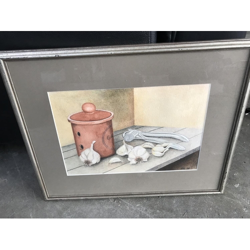 47 - Watercolour on Paper Depicting 'Garlic' Signed and Framed