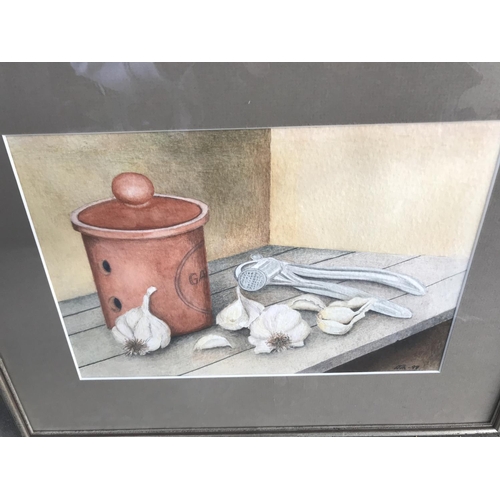 47 - Watercolour on Paper Depicting 'Garlic' Signed and Framed