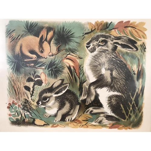 176 - Large 'Rabbits' Framed Print (57 x 48cm)