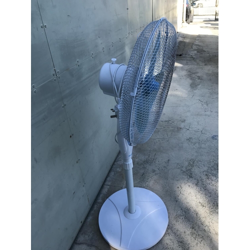 188 - Emily Standing Fan