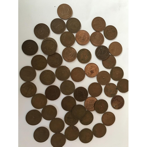 Lot 497       