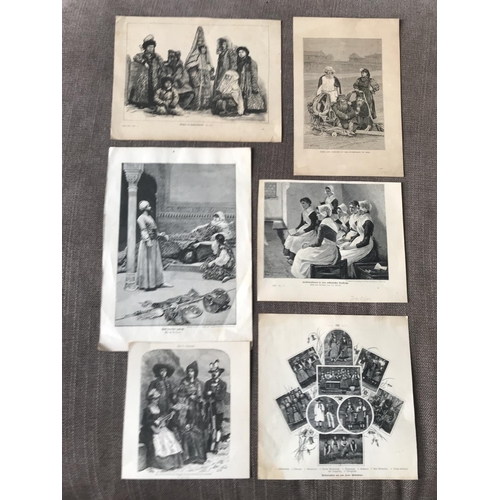 Lot 533       
