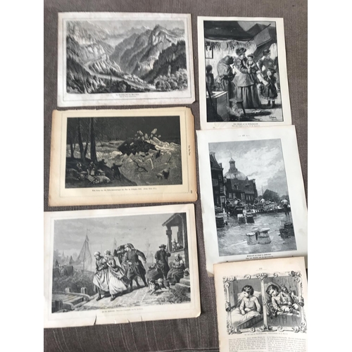Lot 534       